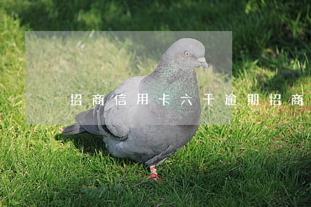 招商信用卡六千逾期(招商6萬逾期一年)