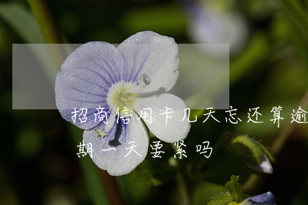 招商信用卡几天忘还算逾期(招商的信用卡逾期一天要紧吗)