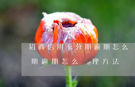 招商信用卡分期逾期怎么處理(招商信用卡分期逾期怎么處理方法)