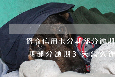 招商信用卡分期部分逾期3天 招商信用卡分期部分逾期3天怎么辦