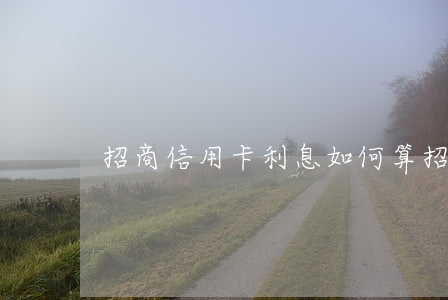 招商信用卡利息如何算(招行利息信用卡)