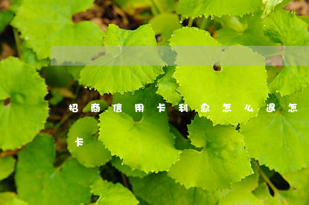 招商信用卡利息怎么退(怎樣退招商銀行信用卡)
