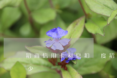 招商信用卡利息扣額度(招行的信用卡利息多少)