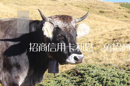 招商信用卡利息減免 招商銀行的減免政策