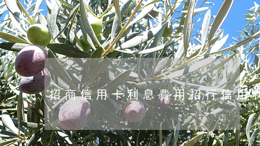 招商信用卡利息費用(招行信用利息)
