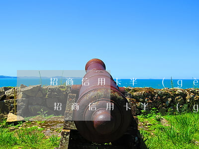 招商信用卡半個(gè)月逾期是多少天-招商信用卡半個(gè)月逾期是多少天啊