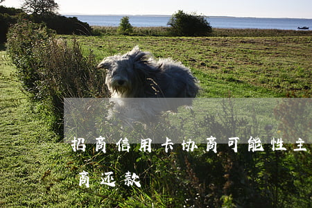 招商信用卡协商可能性(主动找招商信用卡协商还款)