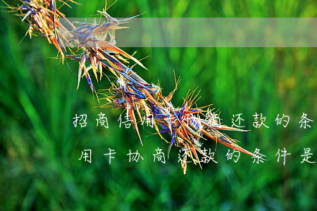 招商信用卡协商还款的条件是什么-招商信用卡协商还款的条件是什么呢