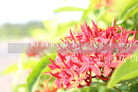 招商信用卡協(xié)商成功了(招商信用卡協(xié)商成功了還能用嗎)