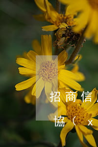招商信用卡協(xié)商條件-招商銀行協(xié)商還款后多久恢復(fù)額度