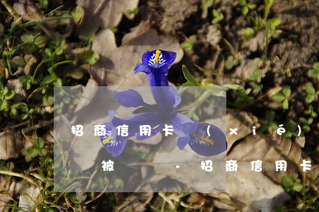 招商信用卡協(xié)商還款直屬信用卡會被凍結-招商信用卡協(xié)商還款直屬信用卡會被凍結嗎