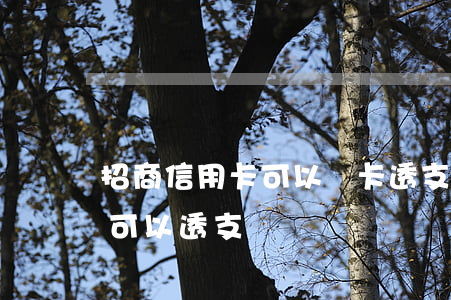 招商信用卡可以無卡透支嗎(招商銀行一卡通可以透支嗎)