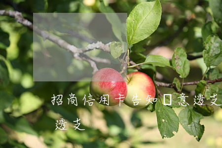 招商信用卡告知惡意透支(招商短信說我惡意透支)