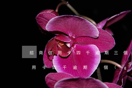 招商信用卡四千逾期三個(gè)月(招商信用卡四千逾期三個(gè)月可以立案嗎)