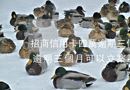 招商信用卡四萬逾期三個月(招商信用卡四千逾期三個月可以立案嗎)