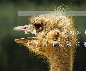 招商信用卡因逾期被限制了怎么辦-招商信用卡因逾期被限制了怎么辦呢