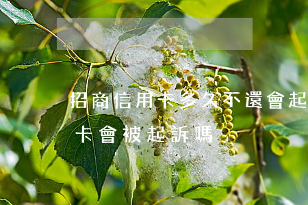 招商信用卡多久不還會起訴(招商欠4千信用卡會被起訴嗎)