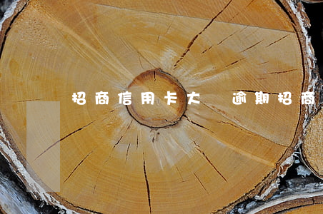 招商信用卡大額逾期(招商銀行 信用卡 逾期)