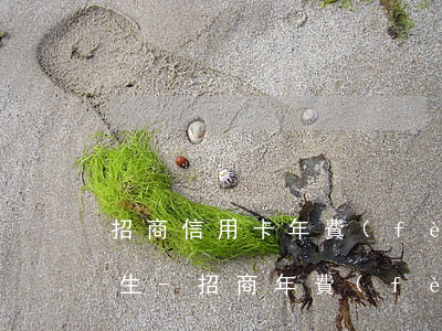招商信用卡年費(fèi)逾期能減免嗎民生-招商年費(fèi)逾期會(huì)影響征信嗎