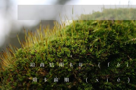 招商信用卡年費(fèi)還款逾期(招行信用卡逾期協(xié)商還本金)