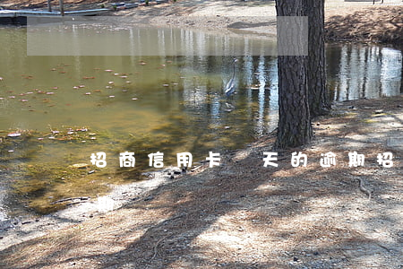 招商信用卡幾天的逾期(招商信用卡4個月逾期)
