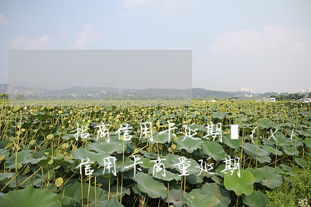 招商信用卡延期協(xié)商 可以和招商信用卡商量延期