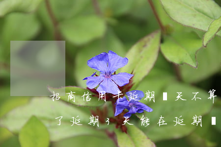 招商信用卡延期幾天不算逾期(招商銀行能過了延期3天能在延期嗎)