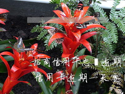 招商信用卡忘還逾期了幾天上征信-招商的信用卡逾期一天要緊嗎