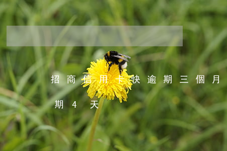 招商信用卡快逾期三個月 招商銀行信用卡逾期4天