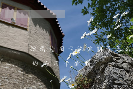 招商信用卡快逾期了怎么办理吗-招商银行的信用卡逾期