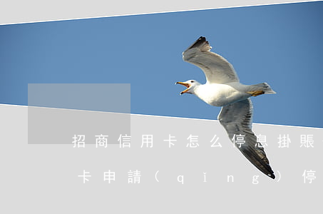 招商信用卡怎么停息掛賬-怎么和招行信用卡申請(qǐng)停息掛賬
