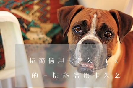 招商信用卡怎么協(xié)商60期還款的-招商信用卡怎么協(xié)商60期還款的錢