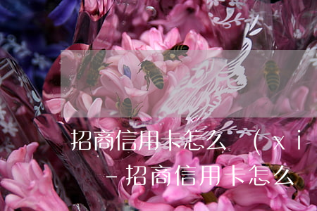 招商信用卡怎么協(xié)商分期還款電話-招商信用卡怎么協(xié)商分期還款電話客服