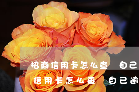 招商信用卡怎么查詢自己逾期罰款記錄（招商信用卡怎么查詢自己逾期罰款）