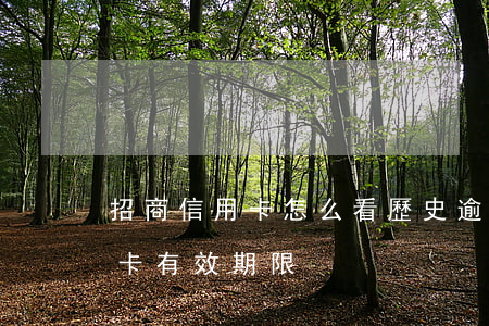 招商信用卡怎么看歷史逾期(怎么查招商信用卡有效期限)