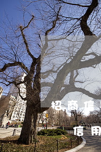 招商信用卡怎么算逾期天數(shù)(招商銀信用卡逾期了,協(xié)商最長可以分多少期?)