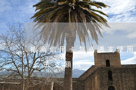 招商信用卡怎么透支使用(招商銀行信用卡怎么透支額度)