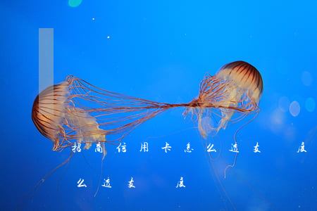 招商信用卡怎么透支額度(招商銀行信用卡怎么透支額度)