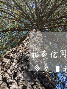 招商信用卡提示已逾期(招商銀行信用卡逾期多久會被說惡意拖欠)