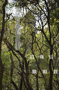 招商信用卡晚几天算逾期(招商信用卡3天宽限期到几点)