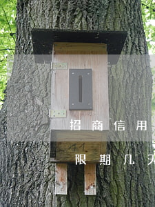 招商信用卡晚几点算逾期(招商银行信用卡宽限期几天)