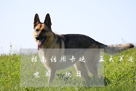招商信用卡晚還五天算逾期嗎(招商逾期幾天也算還款日)
