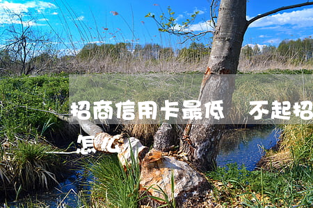 招商信用卡最低還不起(招商還不上最低額度怎么辦)