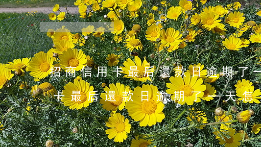 招商信用卡最后還款日逾期了一天 招商信用卡最后還款日逾期了一天怎么辦