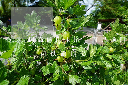 招商信用卡最遲可以逾期多久 招商信用卡最遲可以逾期多久還