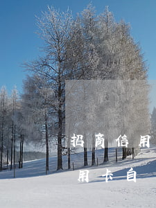 招商信用卡有個(gè)性化還款嗎(招商信用卡 自動(dòng)還款)