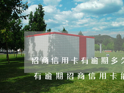 招商信用卡有逾期多久會(huì)上征信(有逾期招商信用卡能申請(qǐng)通過嗎)