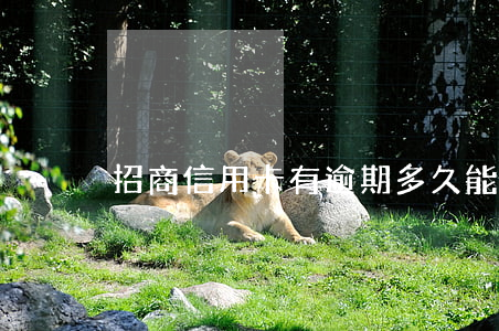 招商信用卡有逾期多久能注销