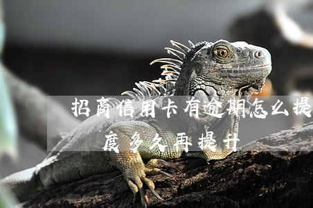 招商信用卡有逾期怎么提額(招商信用卡 降過額度 多久再提升)