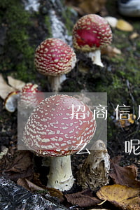 招商信用卡有逾期怎么查(招商信用卡逾期怎么辦呢)